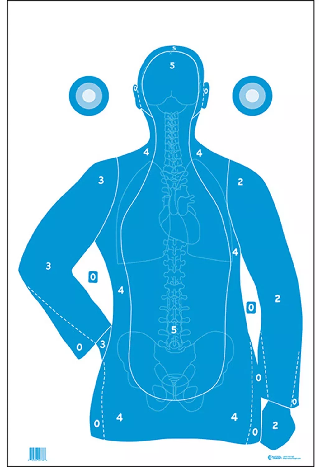 Action Target FB21EANTAV2100 QualificationSilhouette/Vitals Paper Hanging 23" x 35" Blue/White 100 Per Box