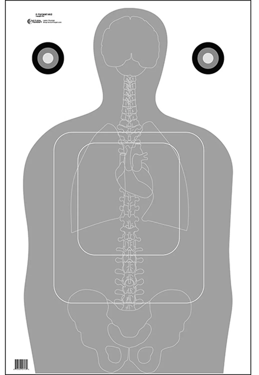 Action Target FTQ15ANTAV2100 QualificationSilhouette/Vitals Paper 23" x 35" Gray/White 100 Per Box