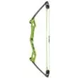 Bear Archery Apprentice Youth Compound Bow RH Green 27in 6-13.5lb - Age 4-7