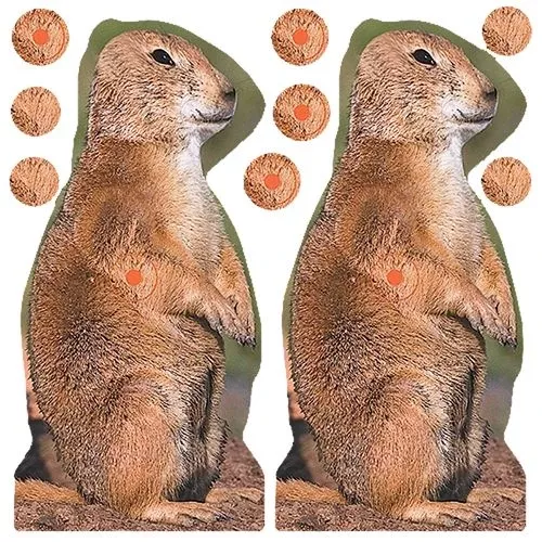 Birchwood Casey 34786 Shoot-N-CSelf-Adhesive Paper Prairie Dog 12 Per Pkg