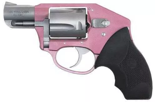 Charter Arms 38 Special Pink Lady Off Duty Revolver 5 Round Concealed Hammer DAO / Stainless Steel 53851