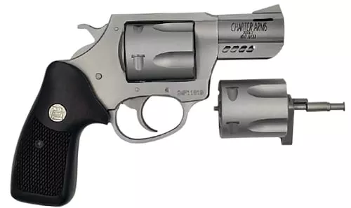 CHARTER ARMS CMBO 357MG/9MM 2.2" STS