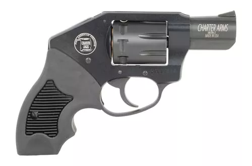 CHARTER ARMS WALKER 22LR 2" 8RD BLK