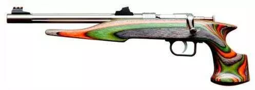 Chipmunk Pistol Hunter 22WMR Threaded 10.5" Stainless Steel Fluted Barrel Green /Orange Gray Camo Laminated Stock Fiber Optic Sights