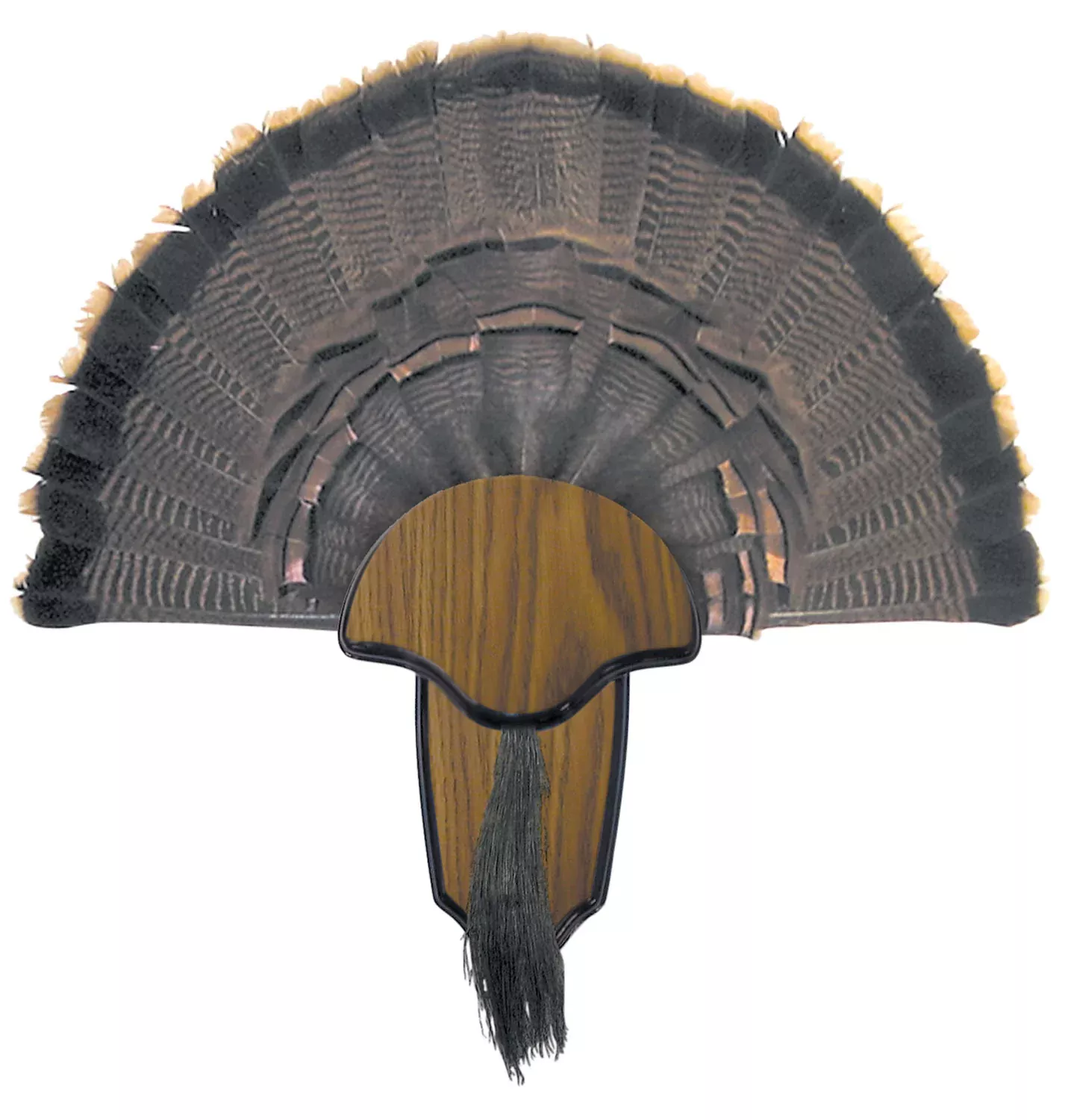 Hunters Specialties HS Strut Turkey Tail & Beard Mounting Kit