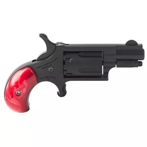 NAA MINI REV ZORRO 22LR W/BUCKLE BK