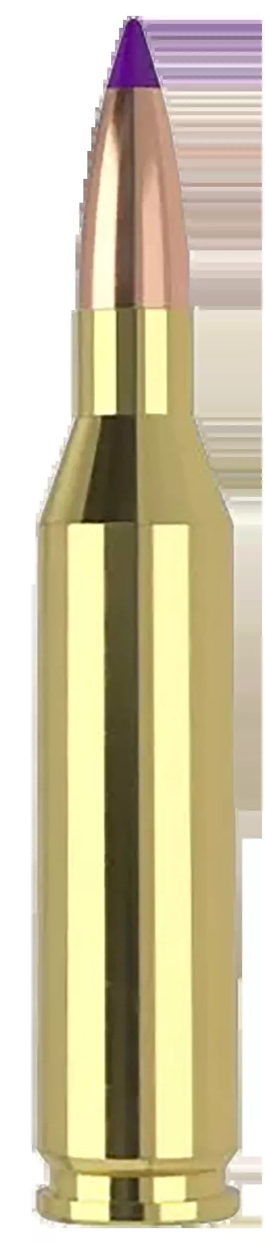 Nosler Ballistic Tip Varmint 243 Win 70gr Polymer Tip - Box or Case