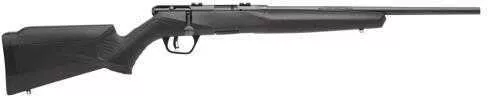 Savage Arms 70814 B17 Compact Bolt Action 17 HMR Caliber with 10+1 Capacity, 18" Barrel, Matte Blued Metal Finish & Matte Black Synthetic Stock Right Hand