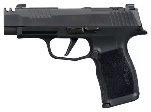 Sig Sauer 365XL380COMP P365XL380 ACP 12+1 3.10" Black Ported Barrel, Black Nitron Stainless Steel Optic Cut/Ported/Serrated Slide, Black Stainless Steel Frame w/Picatinny Rail, Textured Grip, SIG-LO