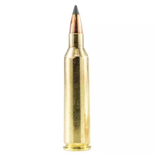 Sig Sauer Elite Hunting Varmint & Predator 22-250 Rem 40 gr Full Metal Jacket (FMJ) - E225V120