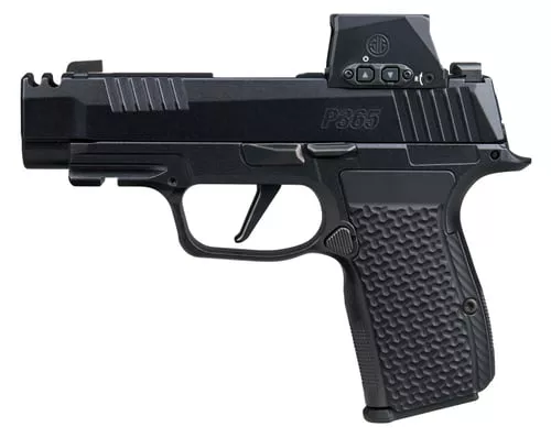 Sig SauerP365 AXG LUXE w/Optic Micro-Compact 380 ACP 12+1 3.10" Black Barrel, Black Pearlescent Cerakote Stainless Steel Integrated Compensator/Optic Ready/Serrated Slide, Black Frame w/Picatinny Ra