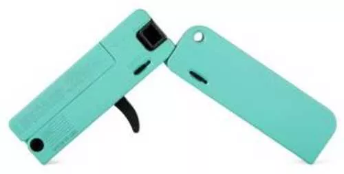 Trailblazer Lifecard Pistol 22 Mag Robbins Egg Blue