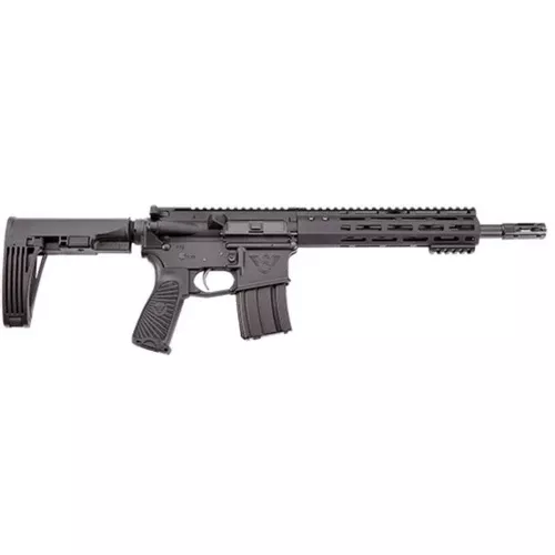 WILSON COMBAT PPE PISTOL W/ BRACE 5.56