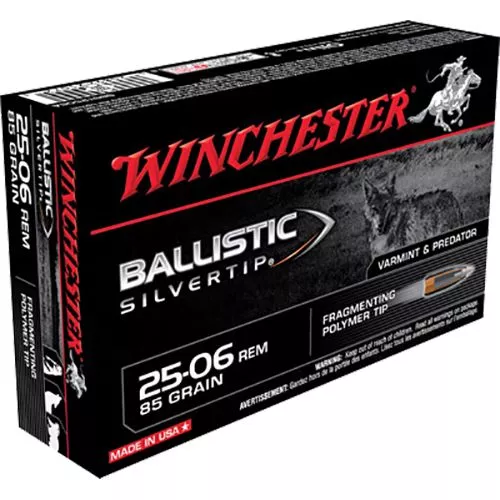 Winchester Ammo SBST2506A Ballistic Silvertip25-06 Rem 85 gr Polymer Tip 20 Bx/ 10 Cs